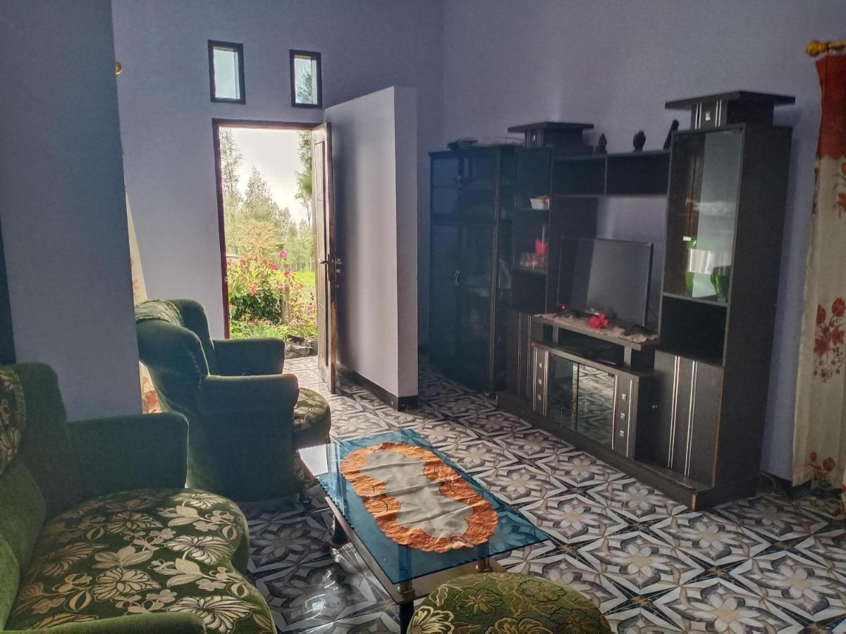 Elen Homestay By Abm Бромо Екстериор снимка